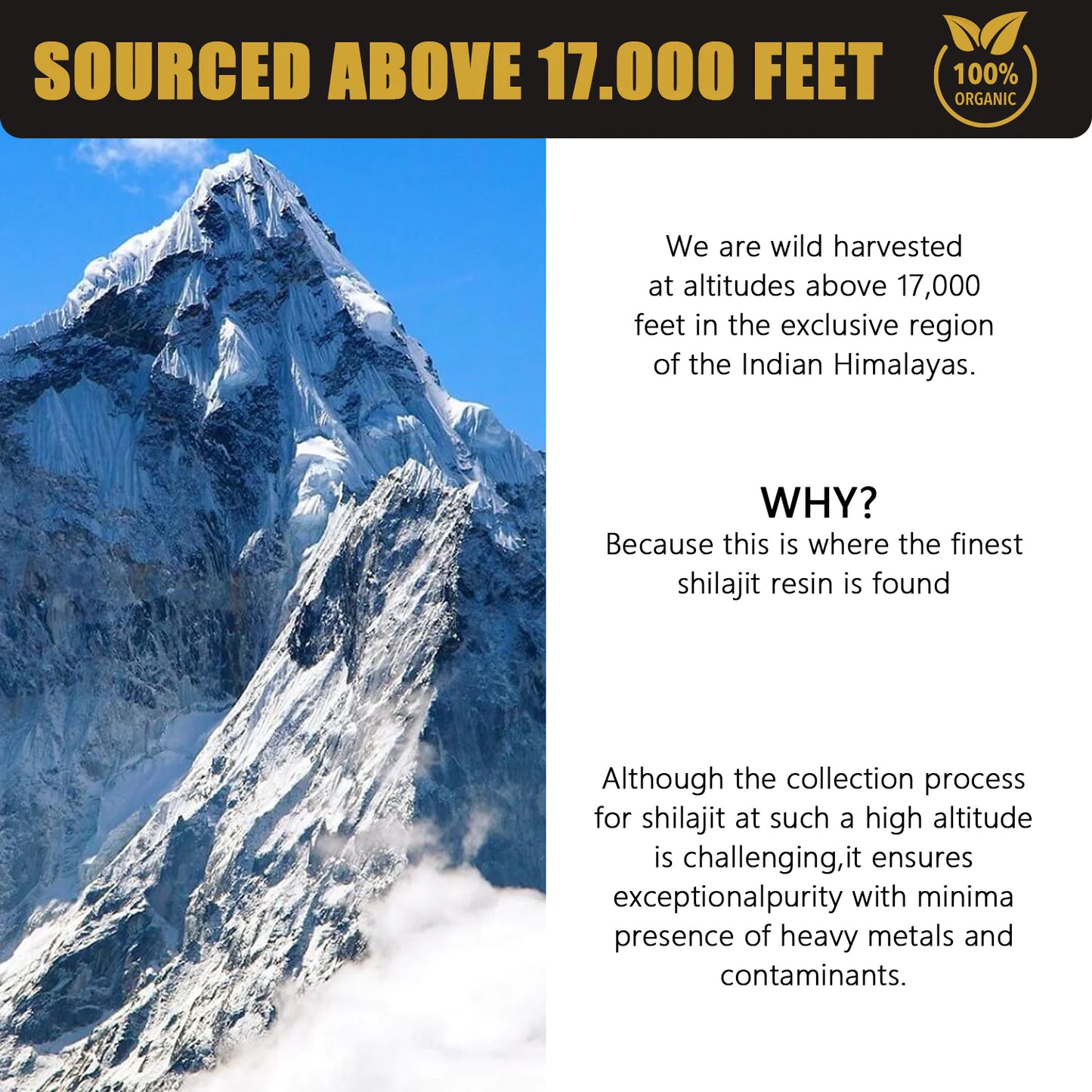 30g Pure Mountain Shilajit Resin